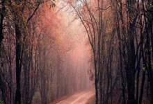 [图]德国足球巨星贝肯鲍尔逝世 享年78岁.