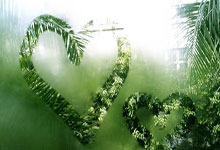 九游娱乐官网:11中9!杜兰特:吉莱斯皮表现非常出色 这能让他建立更多信心.